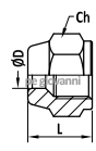 forged flare nuts flareless sae flare NS4 NSR4